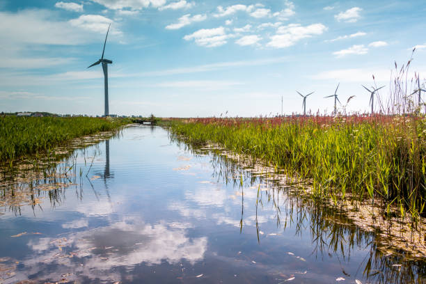 Beautiful ditch and in the background windmills in the Netherlands, province Friesland, region Gaasterland