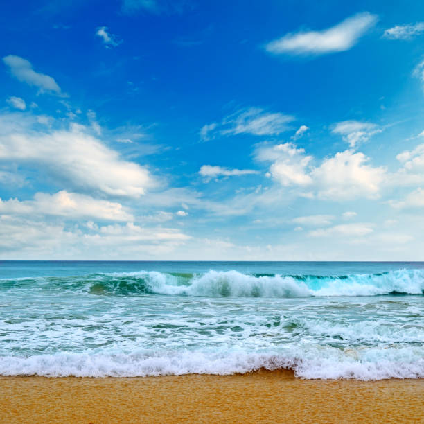 istock Beautiful seascape and blue sky. Sand beach. 1152263003
