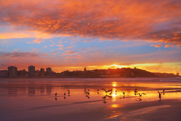 istock Gijon skyline sunset in San Lorenzo beach Asturias 1152264183