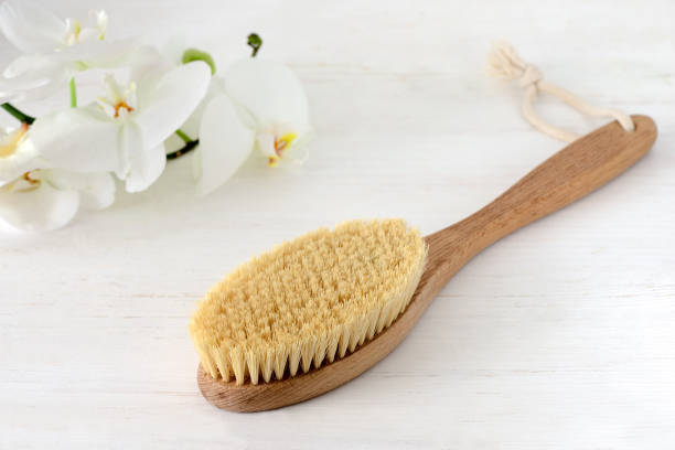 마른 솔 질 마사지를 위한 나무로 되는 솔 - dry brush 뉴스 사진 이미지