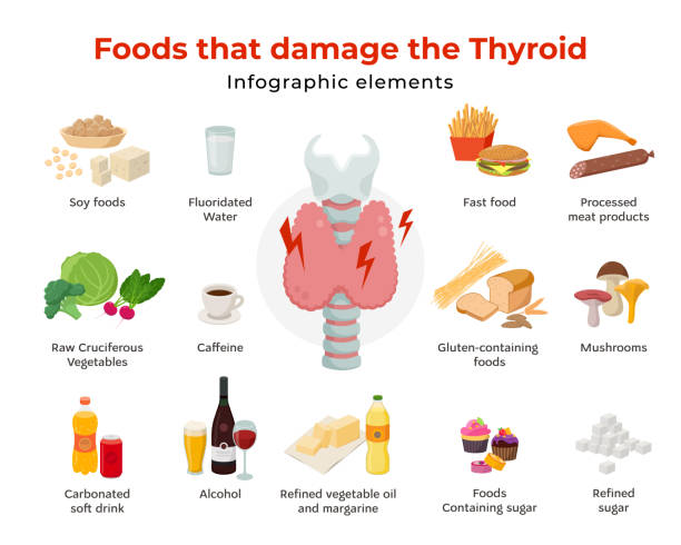 Bad foods for thyroid, set of food icons in flat design isolated on white background. Foods that damage the thyroid infographic elements and Thyroid gland on larynx and trachea vector illustration Bad foods for thyroid, set of food icons in flat design isolated on white background. Foods that damage the thyroid infographic elements and Thyroid gland on larynx and trachea vector illustration. thyroid disease stock illustrations