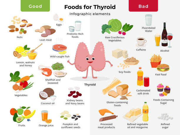 ilustrações de stock, clip art, desenhos animados e ícones de thyroid cartoon character and foods for thyroid health, good and bad meals icon set in flat design isolated on white background. thyroid nutrition infographic elements - soybean isolated seed white background