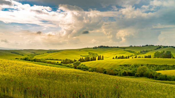 istock Tuscany landscape rolling hills on a sunny day 1152267388