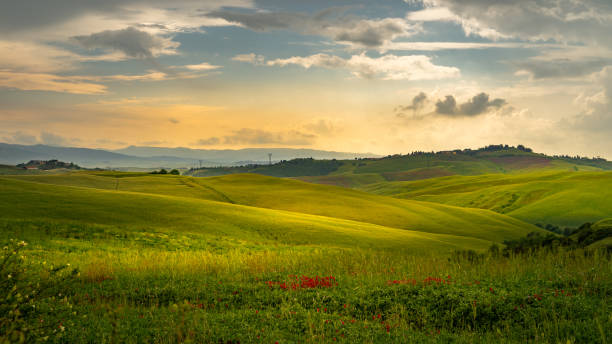 istock Tuscany landscape rolling hills on a sunny day 1152268108
