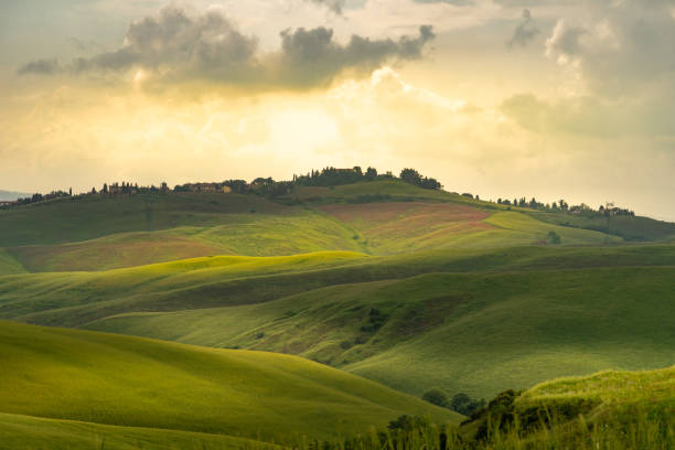 istock Tuscany landscape rolling hills on a sunny day 1152268165