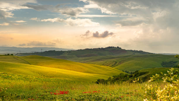 istock Tuscany landscape rolling hills on a sunny day 1152268192