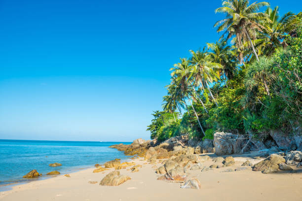 istock Tropical beach with rocks and palm trees 1152268427