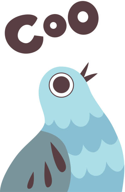 Pigeon Cooing Cute Cartoon Bird Making Coo Sound Vector Illustration Stock  Illustration - Download Image Now - iStock