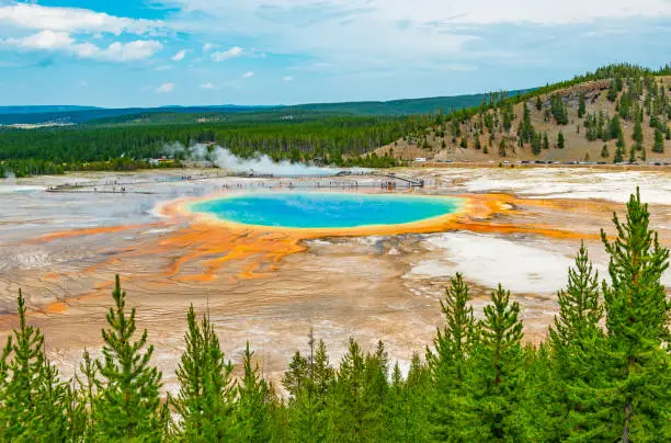 Landscape of the Grand Prismatic Spring hot spring through a pine tree forest and distant silhouettes of tourists walking on the elevated walkway, Wyoming, USA (United States of America).
