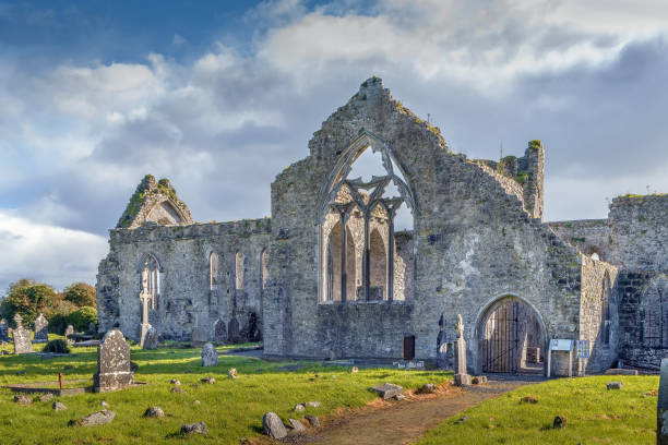 athenry abbey, irland - irish cross stock-fotos und bilder