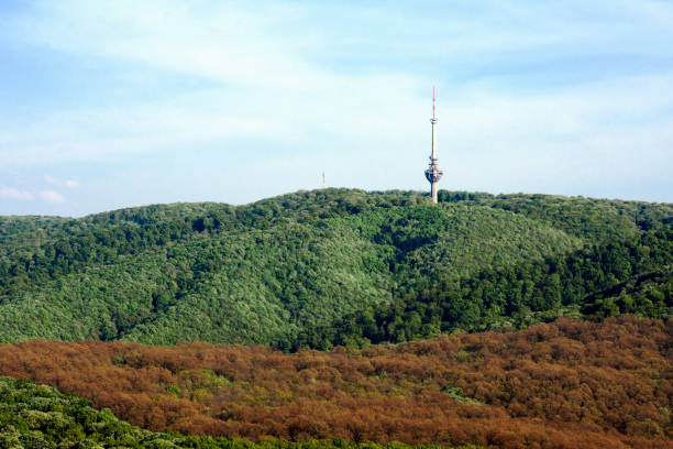 istock Fruska gora Serbia landscape 1152275451