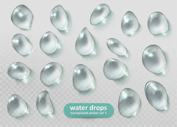 Vector illustration of Water drops. Realistic transparent set. Vector eps