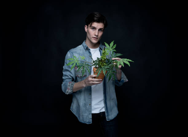 istock Handsome young man is holding a marijuana plant 1152282233