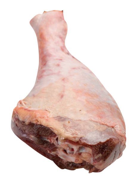 istock Raw, fresh turkey shin, drumstick, isolated on white background 1152283847