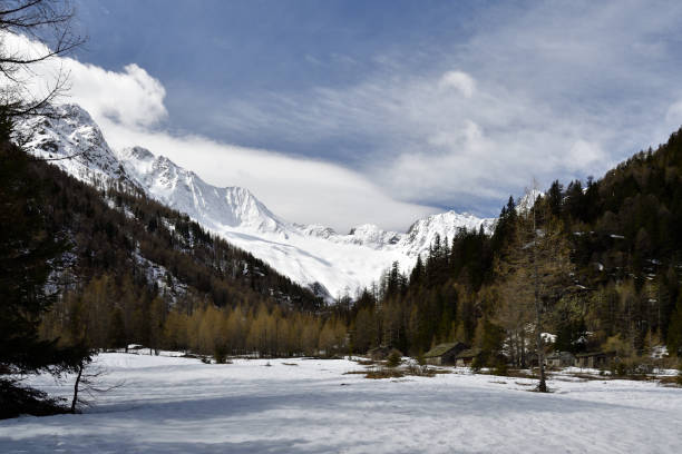 istock Alpe Laresin in early spring 1152284272