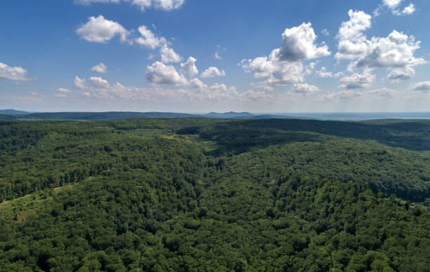 istock Mountains covered with green forest and river. Carpathians. View from above. 1152289881