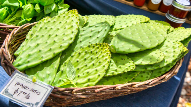 nopal ou prickly-poire cactus sur le marché de l’agriculteur - prickly pear cactus photos et images de collection