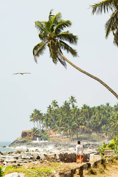 A man is walking on a beautiful and relaxing beach flanked by green palm trees during sunset while an eagle is flying over him. Varkala, Kerala, India.