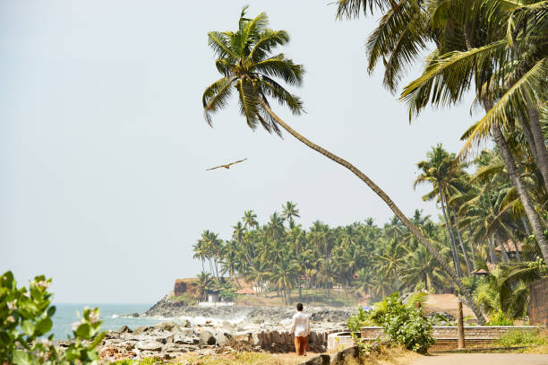 istock A man is walking on a beautiful and relaxing beach flanked by green palm trees during sunset while an eagle is flying over him. Varkala, Kerala, India. 1152296693