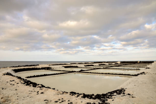 istock Salt Flats in the Canry islands 1152298961