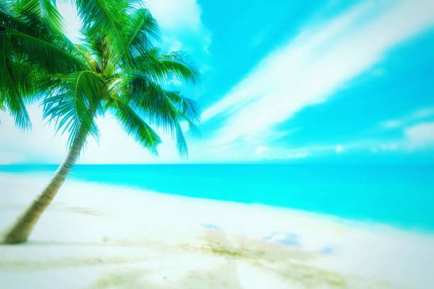 istock Mae Nam Beach, Ko Samui, Thailand, Asia 1152301756