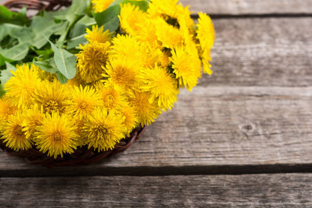 istock Basket with yellow dandelion flower 1152312536
