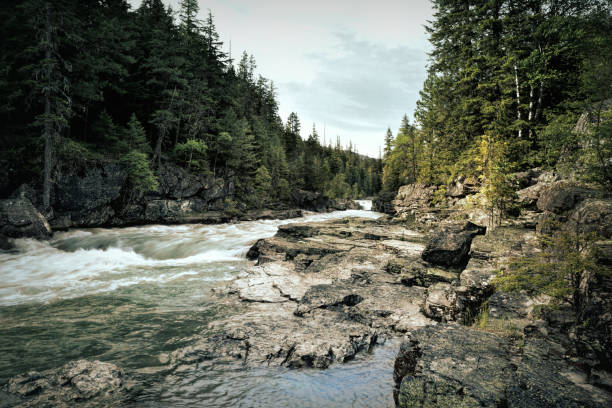Rapids on Avalanche Creek in Glacier National Park