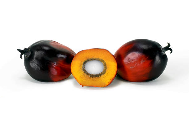 istock Palm oil fruit isolated on white 1152314719