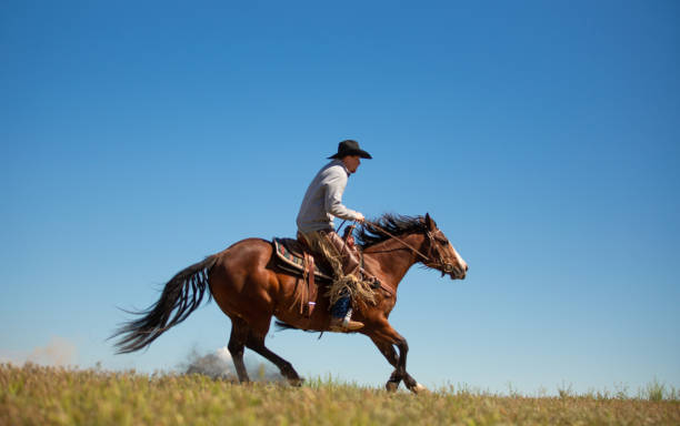 istock Cowboy galloping in Utah, USA 1152316111