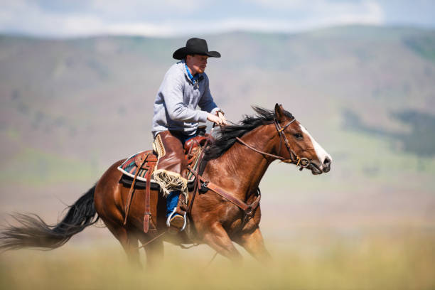istock Cowboy galloping in Utah, USA 1152316153