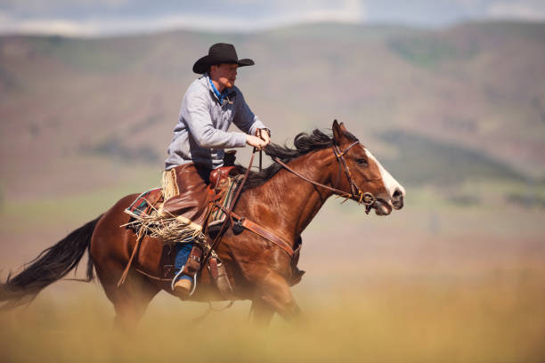 istock Cowboy galloping in Utah, USA 1152316186
