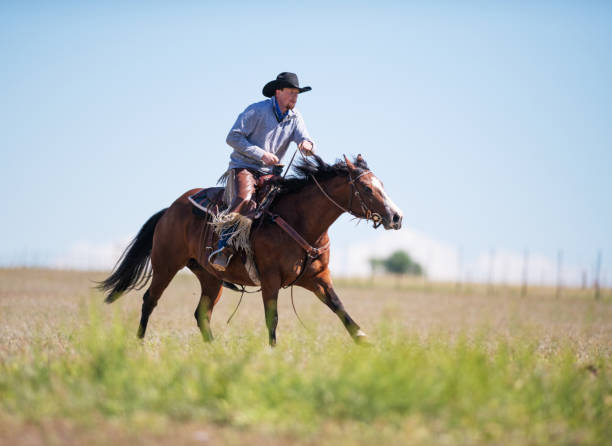 istock Cowboy galloping in Utah, USA 1152316281