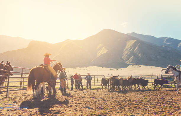 istock Roping cattle for branding in Utah - USA 1152318176