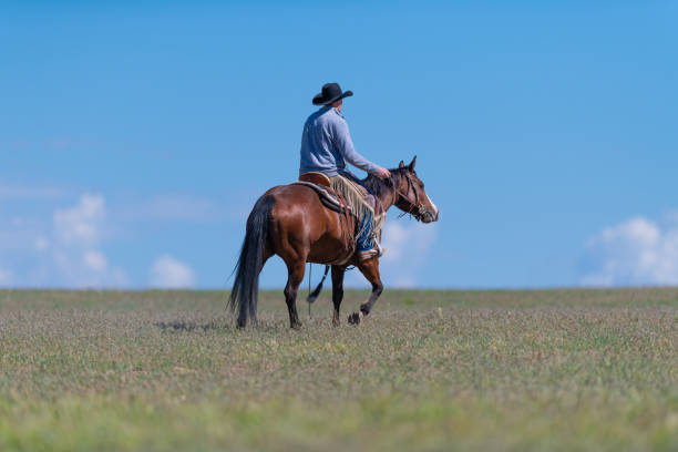 istock Cowboy riding in Utah, USA 1152319676