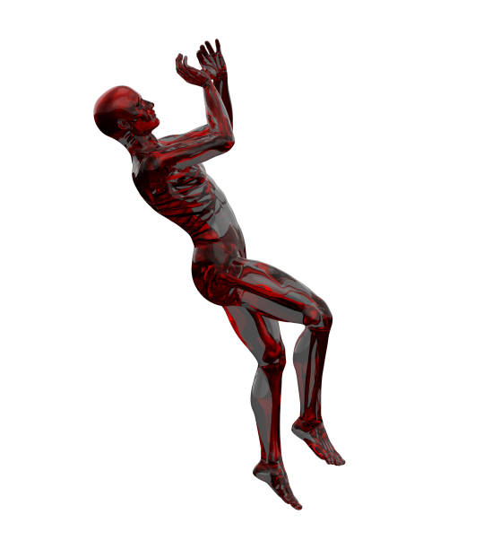 istock 3d rendering illustration of human anatomy 1152321593