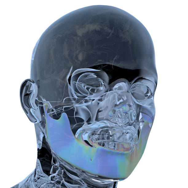 istock 3d rendering illustration of jaw bone 1152321639
