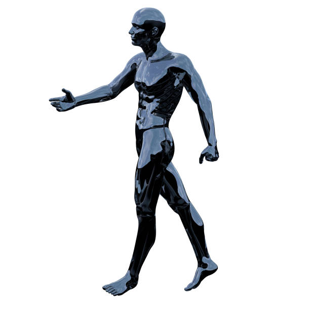 istock 3d rendering illustration of skeleton bone anatomy 1152321768