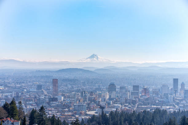 Portland Oregon and Mt. Hood View of Portland Oregon and Mt. Hood in the background from Pittock Mansion mt hood photos stock pictures, royalty-free photos & images