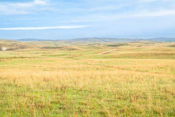 istock Nebraska Sandhills after heavy rains 1152327371