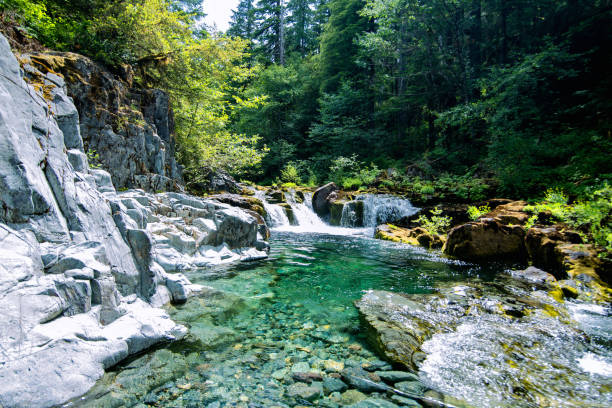 opal creek smaragdgrüne gewässer - waterfall stream forest spring stock-fotos und bilder