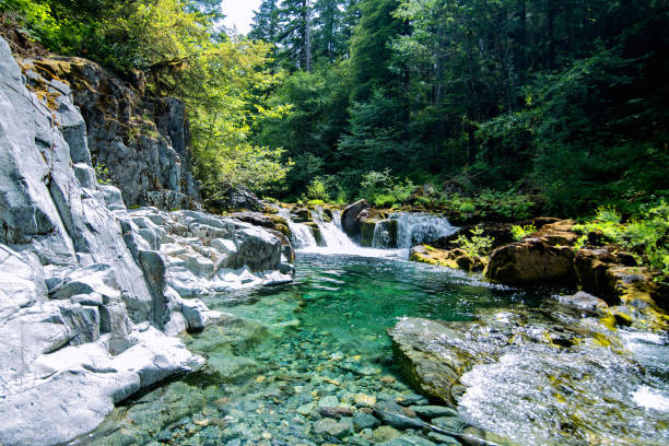 acque color smeraldo di opal creek - waterfall summer outdoors river foto e immagini stock