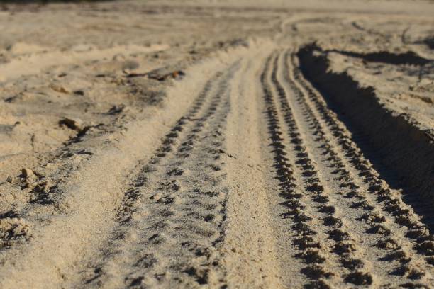 istock Four wheel drive tyre marks at ground level 1152330441