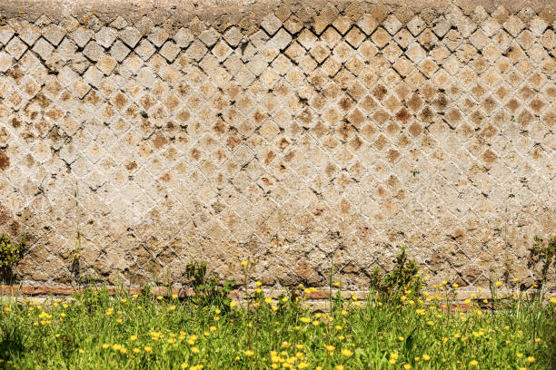 Detail of an ancient Roman brick wall in Ostia Antica, Roman colony founded in the seventh century BC. near Rome, UNESCO world heritage site. Latium, Italy, Europe