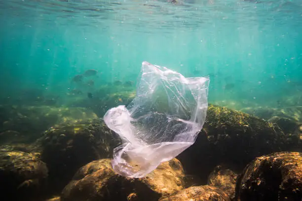 A shredded plastic bag drifting under the surface of a blue, tropical ocean. Bad ecology of sea water. environmental pollution. garbage under the water.