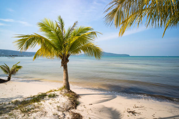 quiet empty paradise beach in koh rong island near sihanoukville quiet empty paradise beach in koh rong island near sihanoukville cambodia kep stock pictures, royalty-free photos & images