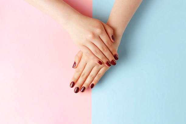 istock Female hands with red manicure on a pink and blue background, top view 1152334907