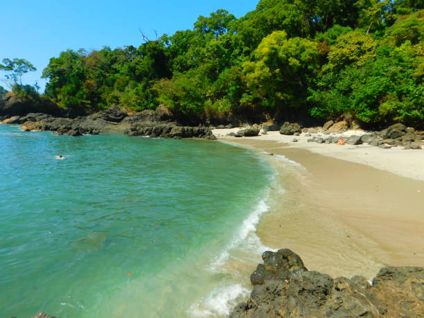 410+ Quepos Costa Rica Stock Photos, Pictures & Royalty-Free Images