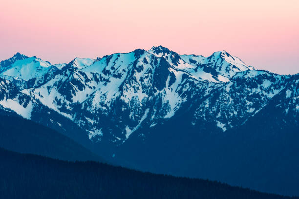 istock Late Evening At Olympic National Park 1152336767
