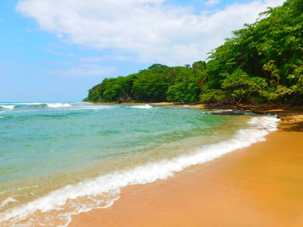 istock Chiquita Beach, Limon, Costa Rica 1152339672