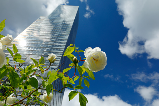 Cologne Tower in the Mediapark district, Cologne, Germany